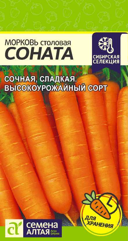Морковь Соната Семена Алтая