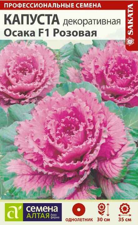 Капуста Декоративная Осака Розовая Семена Алтая
