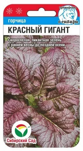 Горчица Красный Гигант 0,5 гр Сибирский Сад