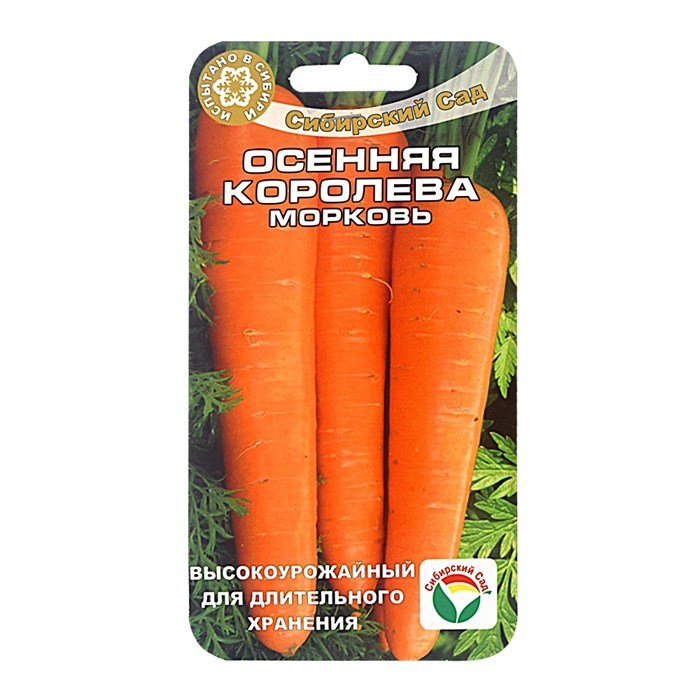 Морковь Осенняя Королева Сиб Сад
