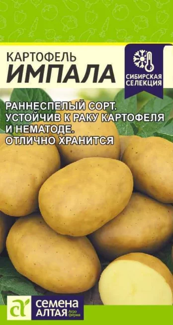Картофель Импала Семена Алтая